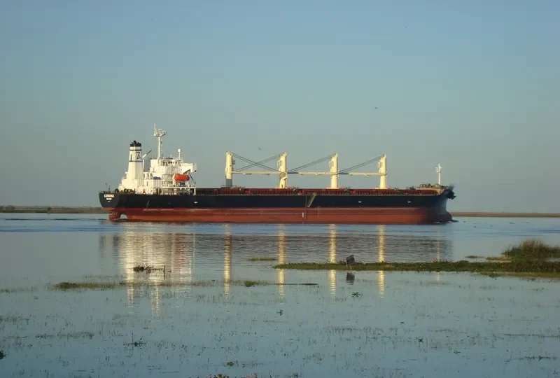 CORONA Bulk Carrier IMO 9169342 photo 10