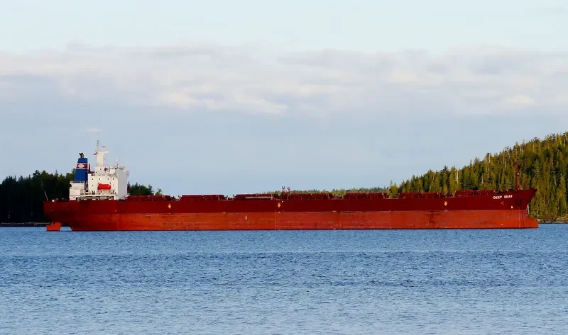 EUNICE Bulk Carrier IMO 9169380 photo 2