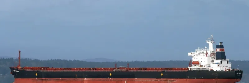 EUNICE Bulk Carrier IMO 9169380 photo 4