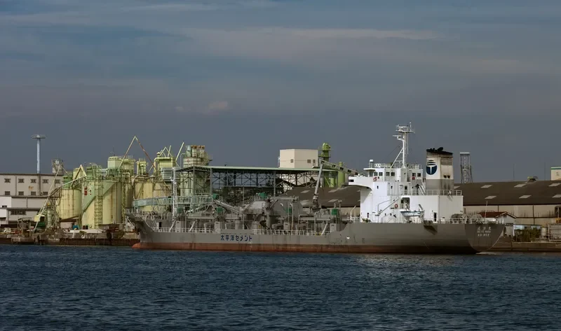 ASIAN PHOENIX General Cargo IMO 9169445 photo 5
