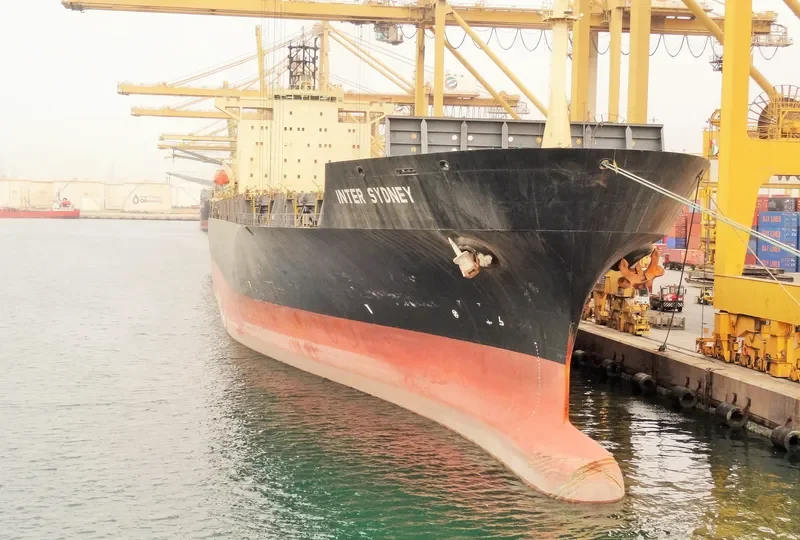 INTER SYDNEY Container Ship IMO 9169500 photo 3