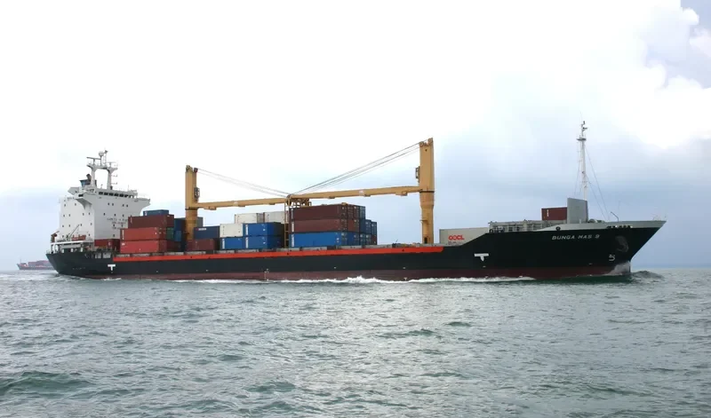 TANTO TERANG Container Ship IMO 9169653 photo 3