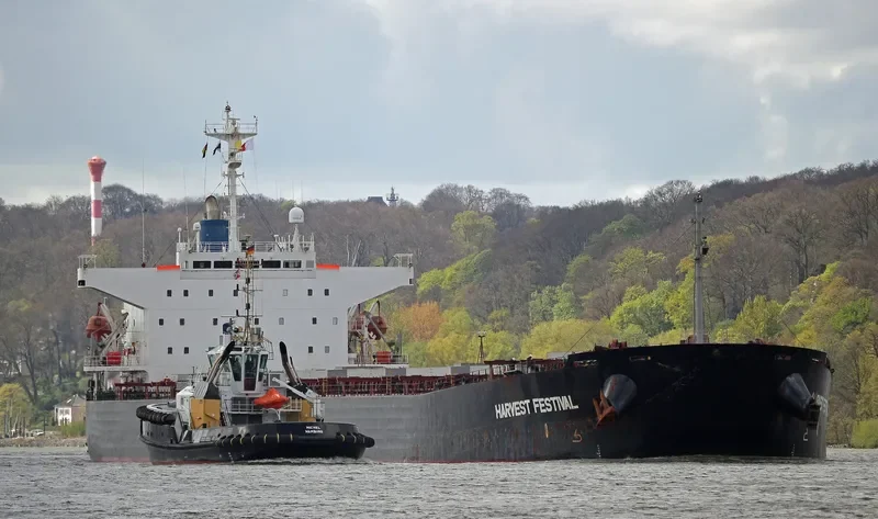 HARBOUR WELL Bulk Carrier IMO 9170262 photo 5