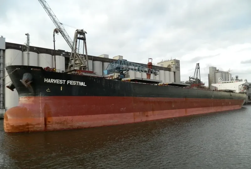 HARBOUR WELL Bulk Carrier IMO 9170262 photo 6