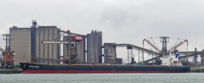HARBOUR WELL Bulk Carrier IMO 9170262 photo 7