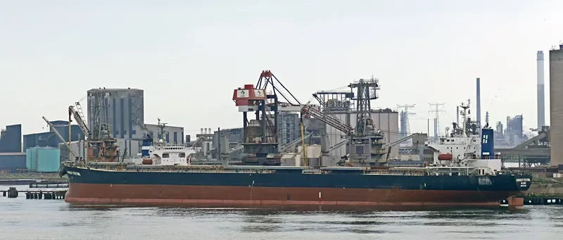HARBOUR WELL Bulk Carrier IMO 9170262 photo 8