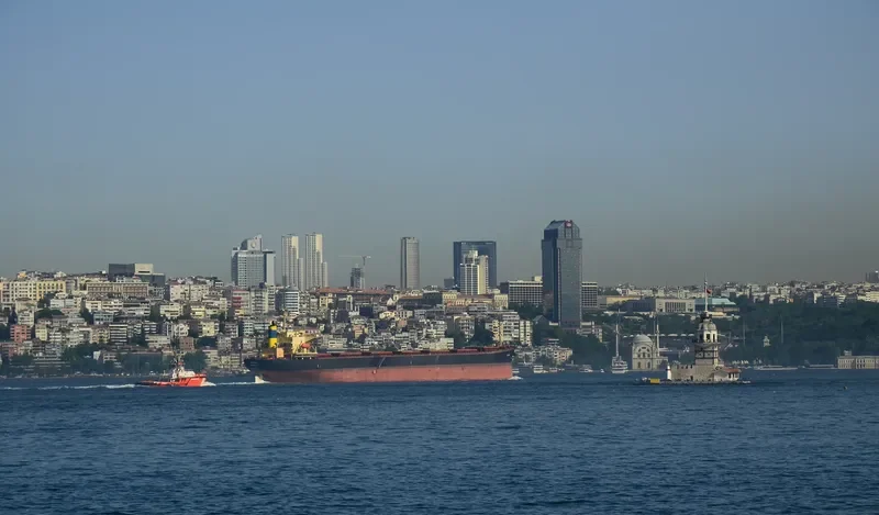 MARONI Bulk Carrier IMO 9170274 photo 3