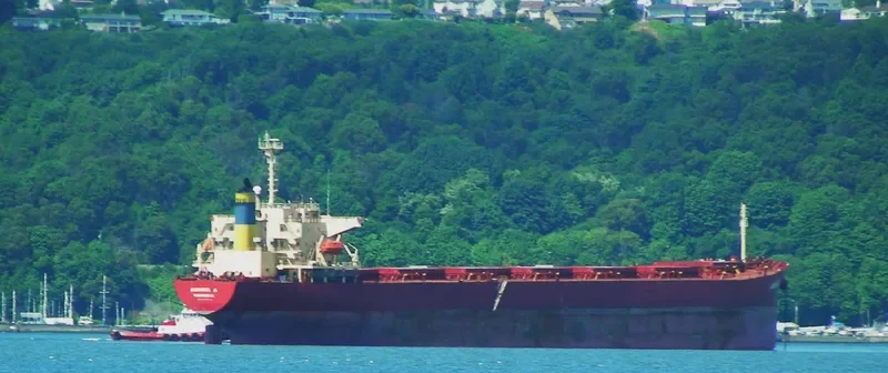 MARONI Bulk Carrier IMO 9170274 photo 10