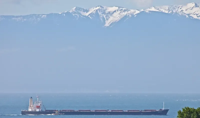 HUI HONG II Bulk Carrier IMO 9170286 photo 2