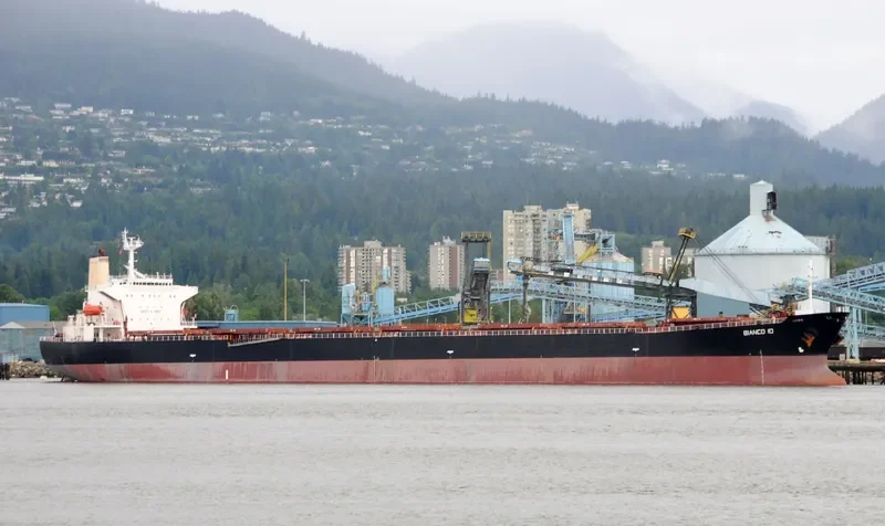 HUI HONG II Bulk Carrier IMO 9170286 photo 3