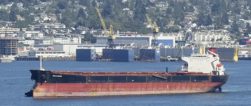 CAPTAIN STEFANOS M Bulk Carrier IMO 9170298 photo 6