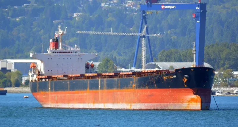 CAPTAIN STEFANOS M Bulk Carrier IMO 9170298 photo 8