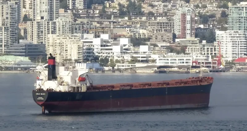 CAPTAIN STEFANOS M Bulk Carrier IMO 9170298 photo 10