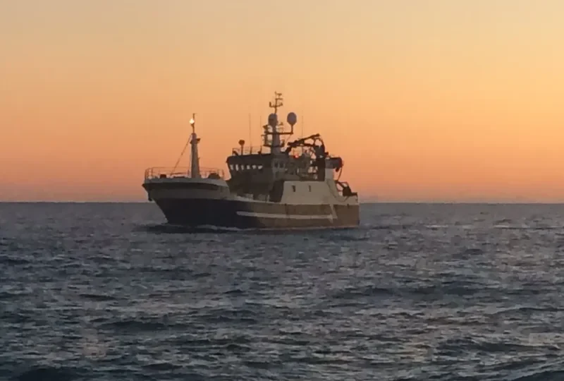 CARMONA General Cargo IMO 9170303 photo 8