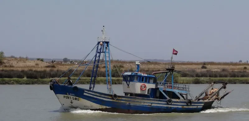 PORT SAID 901 General Cargo IMO 9170494 photo 2
