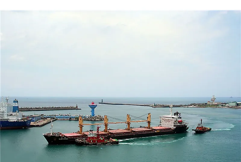 GLORY FUTURE Bulk Carrier IMO 9170652 photo 5