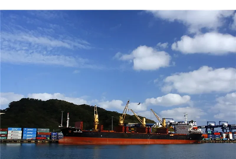 GLORY FUTURE Bulk Carrier IMO 9170652 photo 9