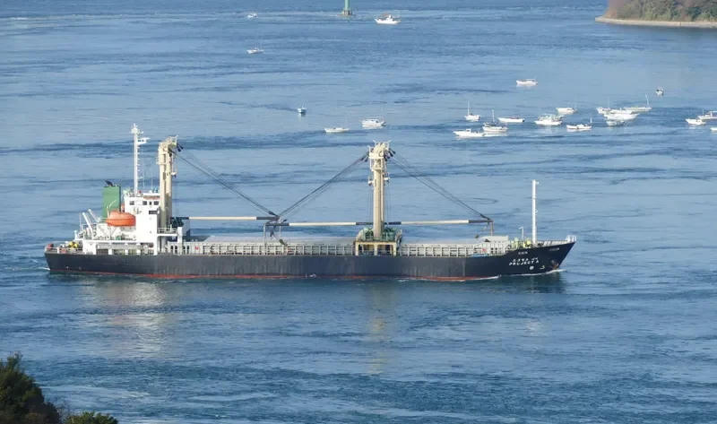 PROJECT A General Cargo IMO 9170913
