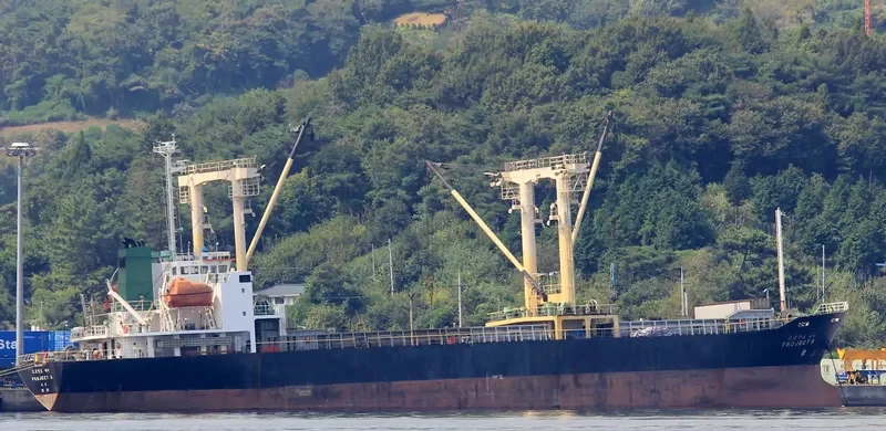 PROJECT A General Cargo IMO 9170913 photo 4