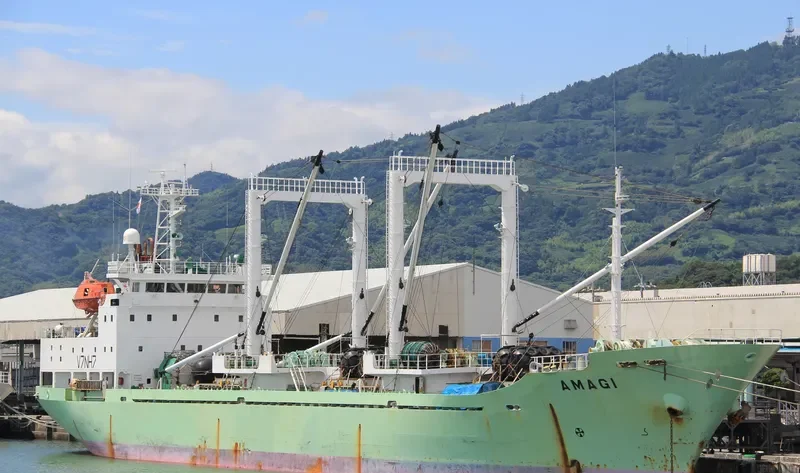 AMAGI General Cargo IMO 9170963 photo 7