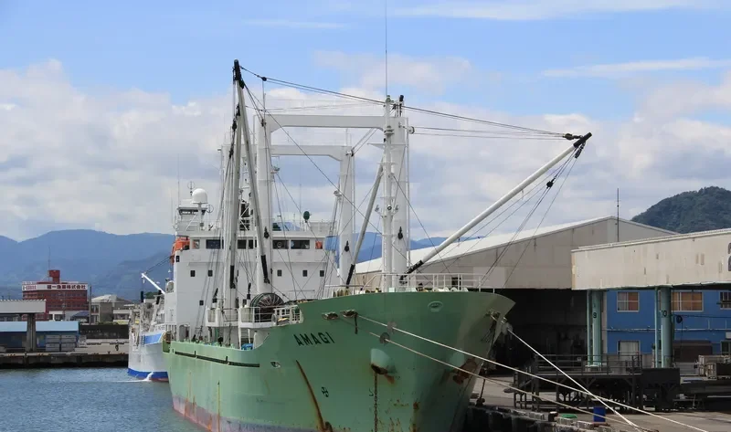 AMAGI General Cargo IMO 9170963 photo 8