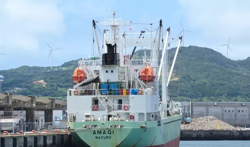 AMAGI General Cargo IMO 9170963 photo 10