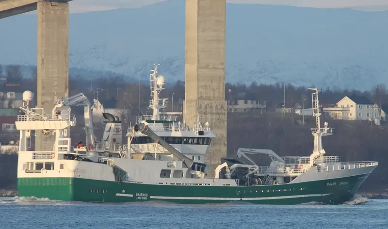 HOFFELL General Cargo IMO 9171034 photo 3
