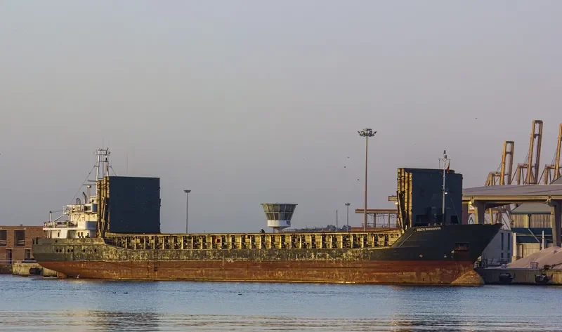 CELTIC ENDEAVOUR General Cargo IMO 9171072 photo 10