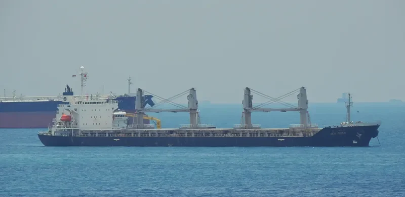 BLUE BEAD General Cargo IMO 9171113 photo 8