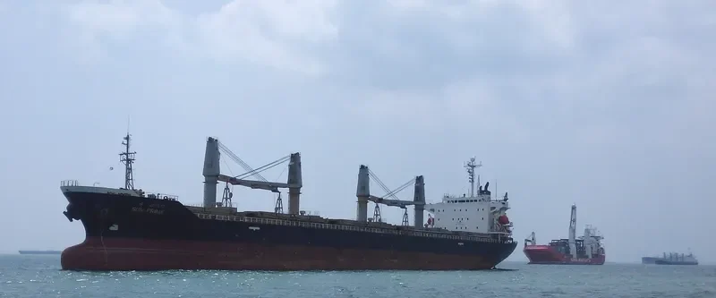 BLUE BEAD General Cargo IMO 9171113 photo 9