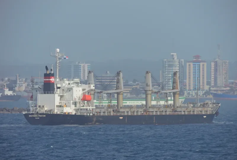 BLUE BEAD General Cargo IMO 9171113 photo 10