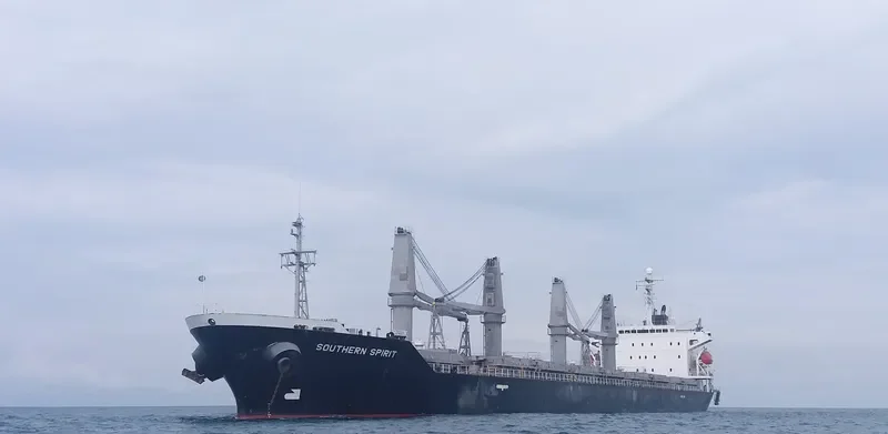 SOUTHERN SPIRIT Bulk Carrier IMO 9171125 photo 3