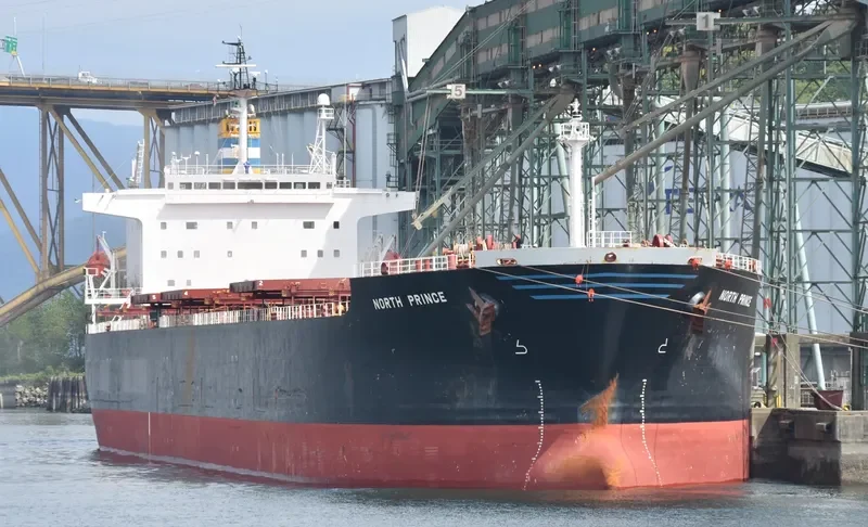 PING AN HAI TAI Bulk Carrier IMO 9171149