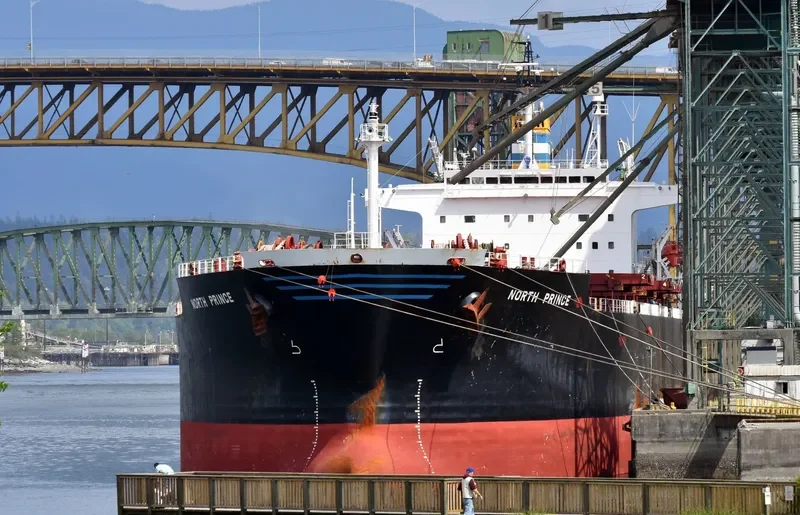 PING AN HAI TAI Bulk Carrier IMO 9171149 photo 2