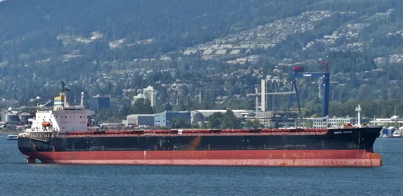 PING AN HAI TAI Bulk Carrier IMO 9171149 photo 5