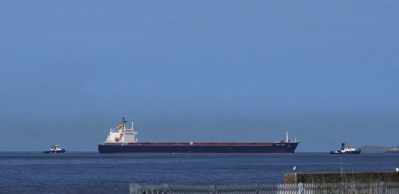 PING AN HAI TAI Bulk Carrier IMO 9171149 photo 7