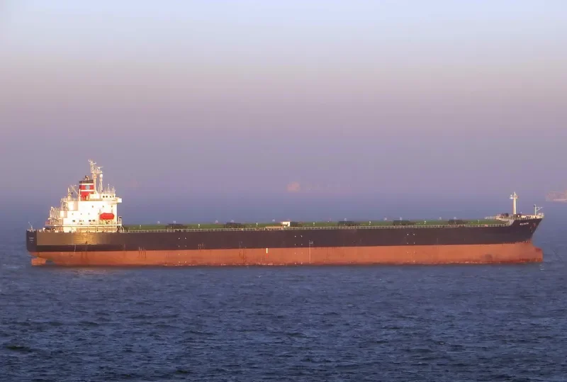 GREAT WENCHAO Bulk Carrier IMO 9171151