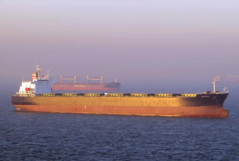 GREAT WENCHAO Bulk Carrier IMO 9171151 photo 3