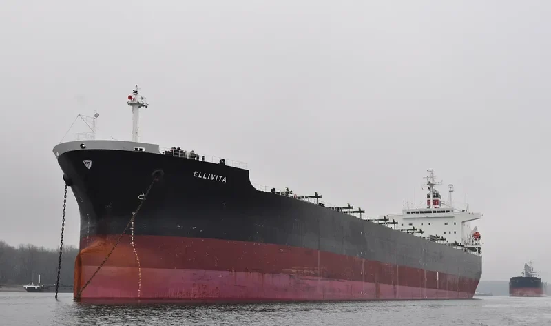 GREAT WENCHAO Bulk Carrier IMO 9171151 photo 8