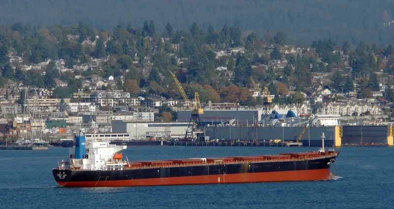 GREAT LUCK Bulk Carrier IMO 9171204