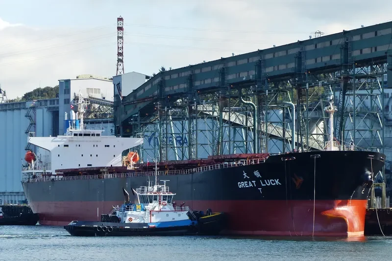 GREAT LUCK Bulk Carrier IMO 9171204 photo 5