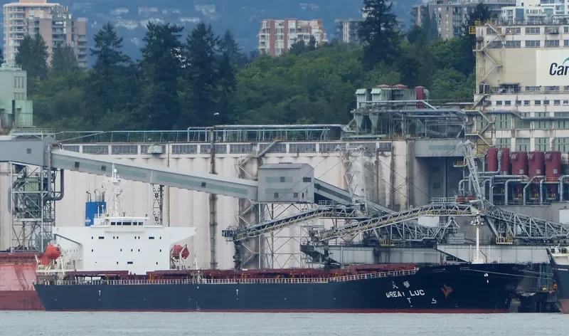 GREAT LUCK Bulk Carrier IMO 9171204 photo 7