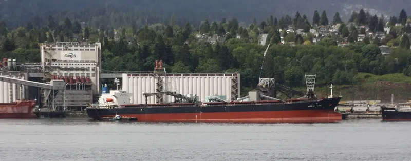GREAT LUCK Bulk Carrier IMO 9171204 photo 8