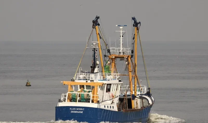 ALLES WISSELT General Cargo IMO 9171216 photo 10