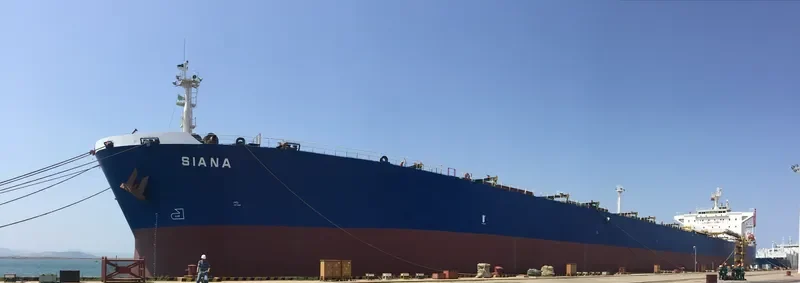 SIANA Bulk Carrier IMO 9171266