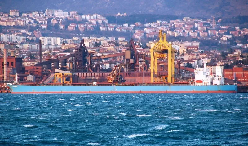 SIANA Bulk Carrier IMO 9171266 photo 6