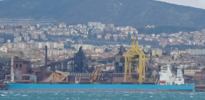 SIANA Bulk Carrier IMO 9171266 photo 8