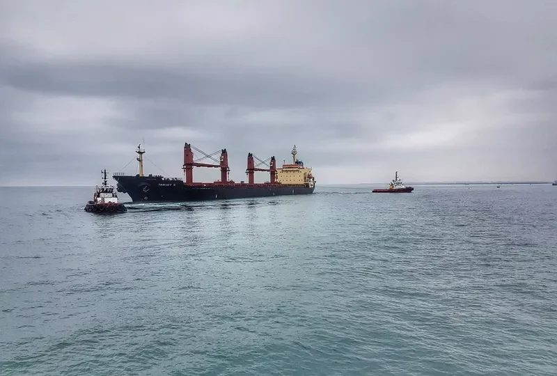 TAMREY S Bulk Carrier IMO 9171541