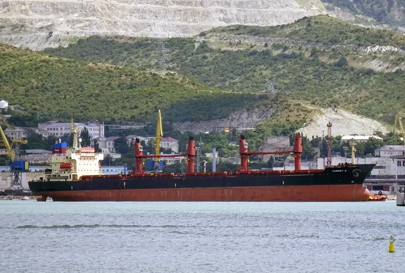 TAMREY S Bulk Carrier IMO 9171541 photo 2