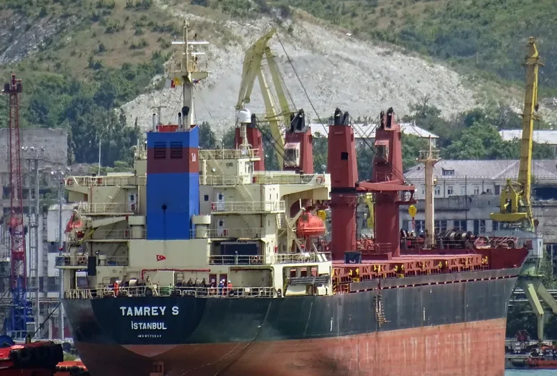 TAMREY S Bulk Carrier IMO 9171541 photo 3